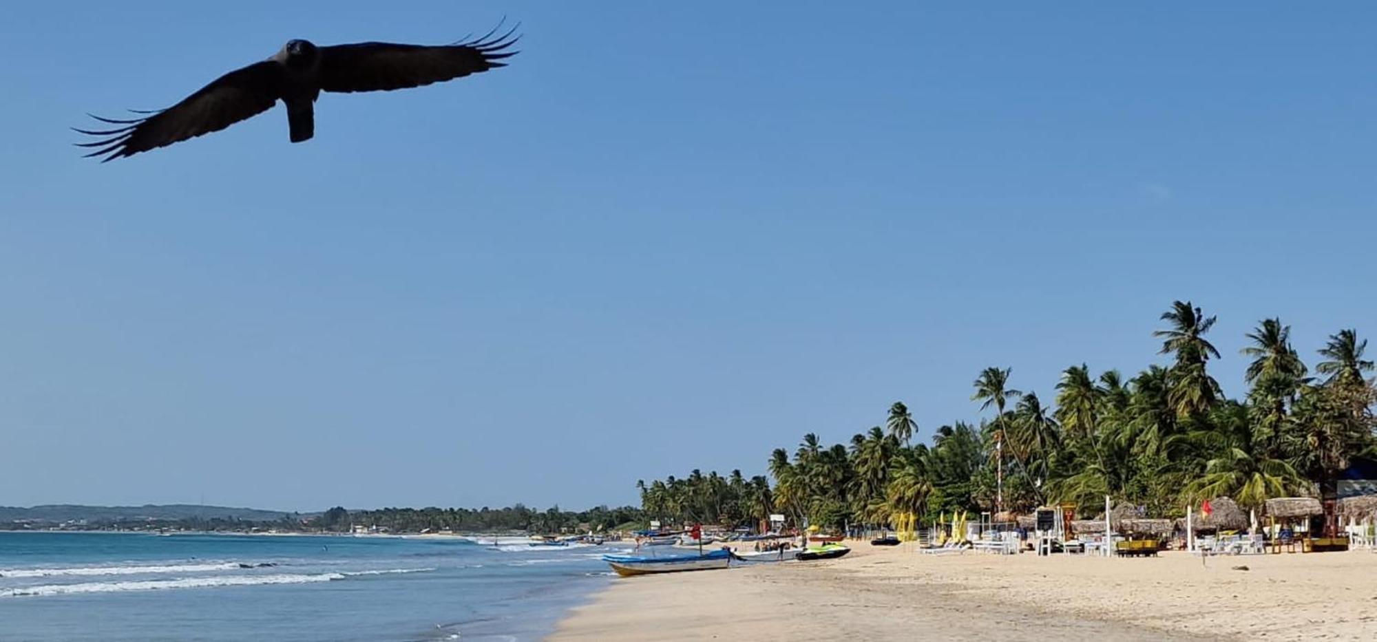 Lucky Beach Resort Trincomalee Buitenkant foto